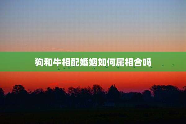 狗和牛相配婚姻如何属相合吗