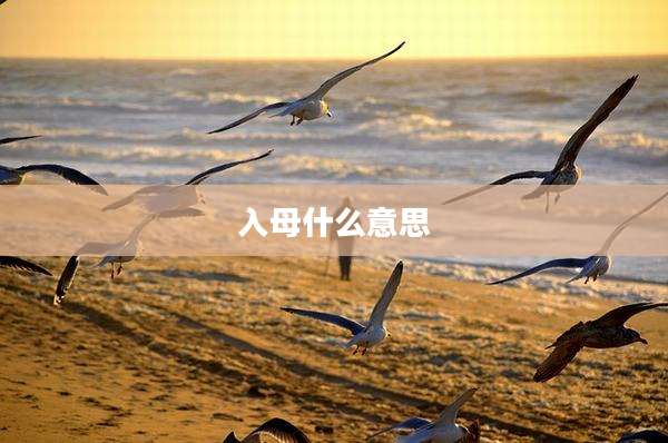 入母什么意思