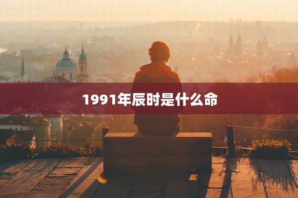 1991年辰时是什么命