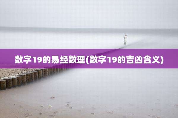 数字19的易经数理(数字19的吉凶含义)
