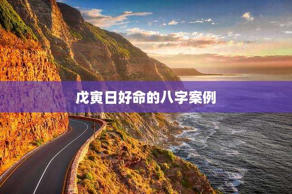 戊寅日好命的八字案例