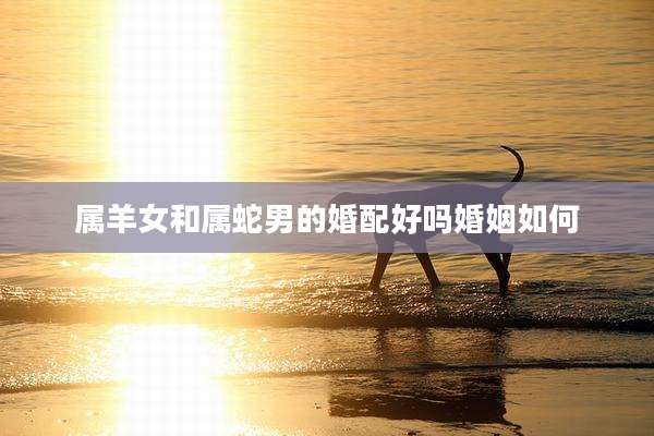 属羊女和属蛇男的婚配好吗婚姻如何