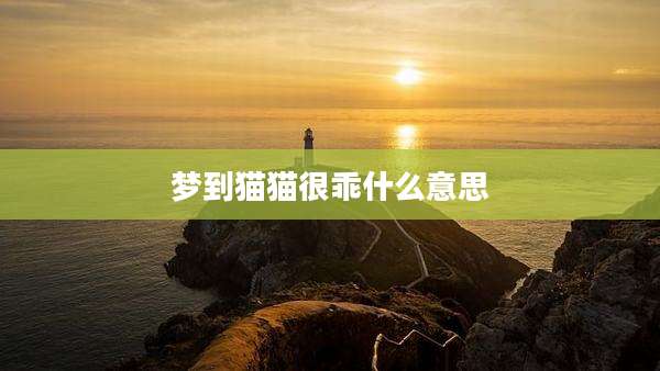 梦到猫猫很乖什么意思