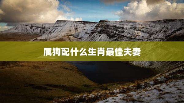 属狗配什么生肖最佳夫妻