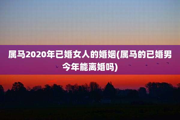 属马2020年已婚女人的婚姻(属马的已婚男今年能离婚吗)