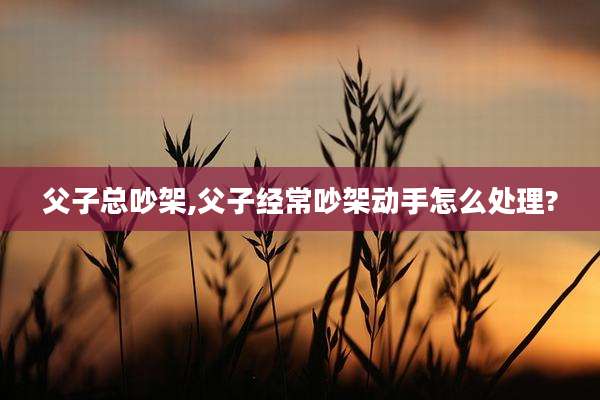 父子总吵架,父子经常吵架动手怎么处理?