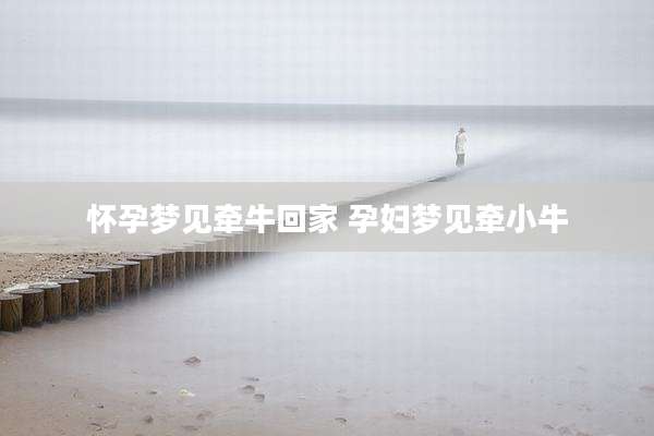怀孕梦见牵牛回家 孕妇梦见牵小牛