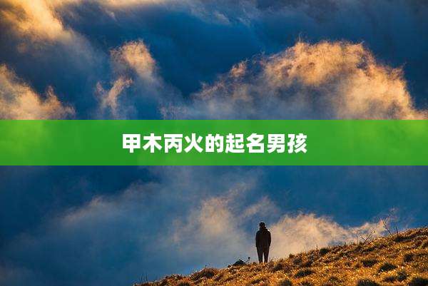 甲木丙火的起名男孩