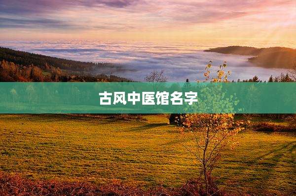 古风中医馆名字