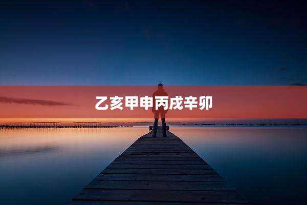 乙亥甲申丙戌辛卯