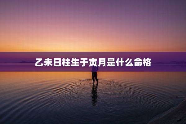 乙未日柱生于寅月是什么命格