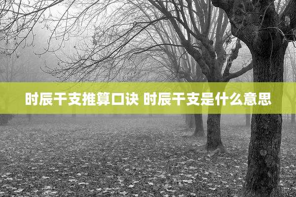 时辰干支推算口诀 时辰干支是什么意思