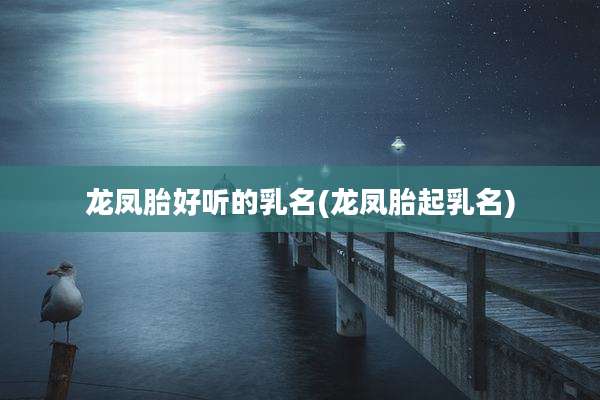 龙凤胎好听的乳名(龙凤胎起乳名)