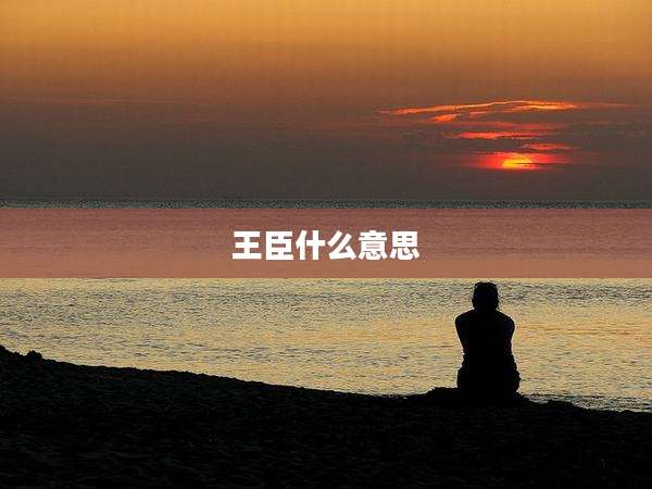 王臣什么意思