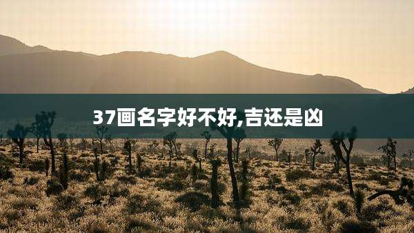 37画名字好不好,吉还是凶