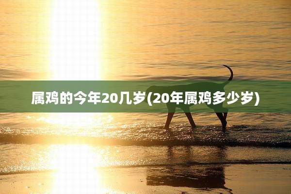 属鸡的今年20几岁(20年属鸡多少岁)