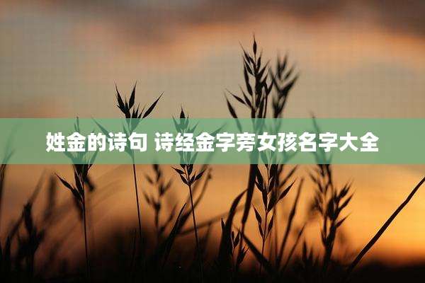 姓金的诗句 诗经金字旁女孩名字大全