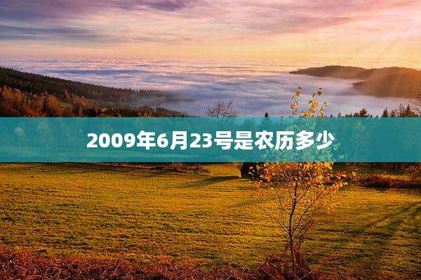 2009年6月23号是农历多少