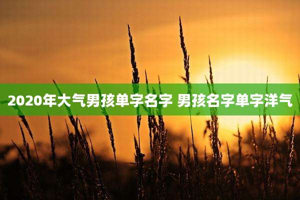 2020年大气男孩单字名字 男孩名字单字洋气