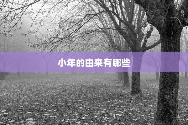 小年的由来有哪些