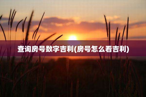 查询房号数字吉利(房号怎么看吉利)