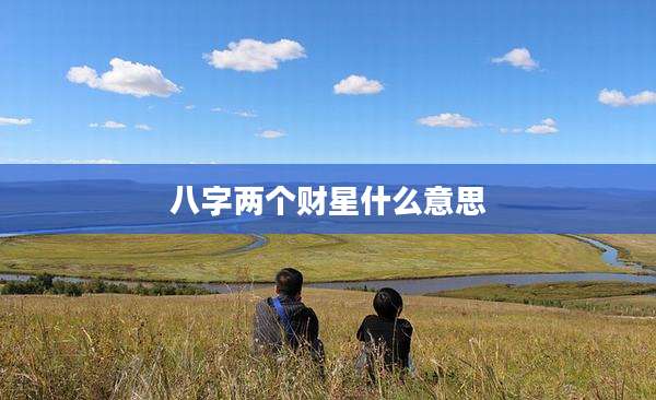 八字两个财星什么意思