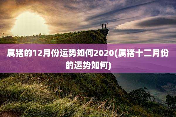 属猪的12月份运势如何2020(属猪十二月份的运势如何)