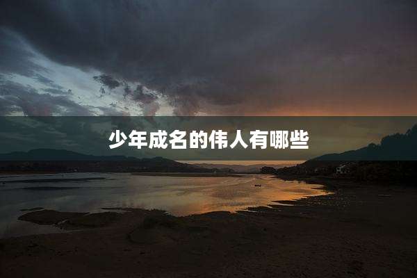 少年成名的伟人有哪些