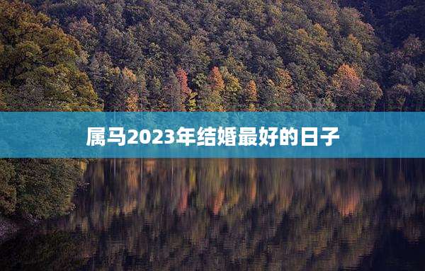 属马2023年结婚最好的日子