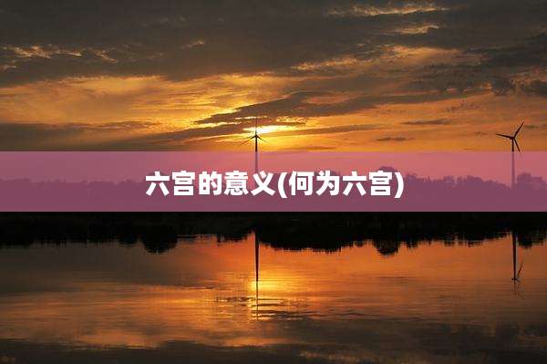 六宫的意义(何为六宫)