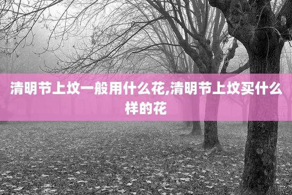 清明节上坟一般用什么花,清明节上坟买什么样的花