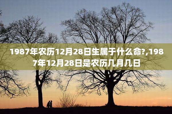 1987年农历12月28日生属于什么命?,1987年12月28日是农历几月几日