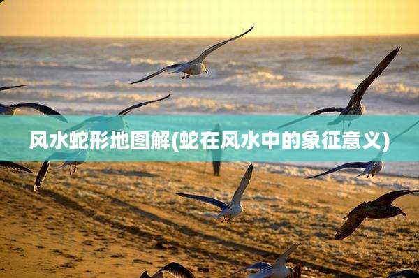 风水蛇形地图解(蛇在风水中的象征意义)