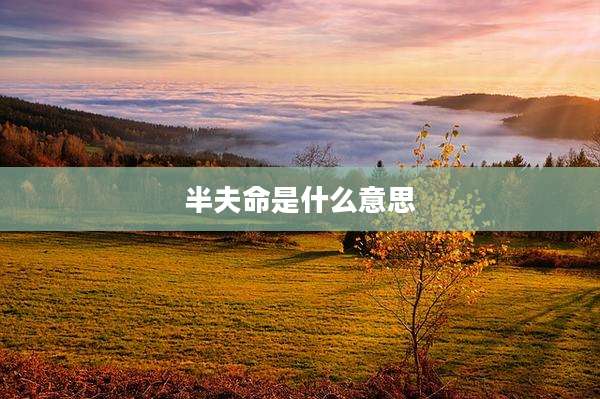 半夫命是什么意思