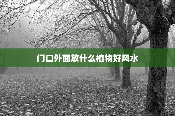 门口外面放什么植物好风水