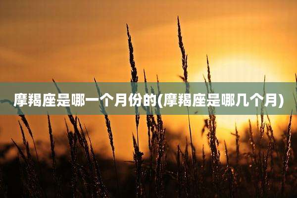 摩羯座是哪一个月份的(摩羯座是哪几个月)