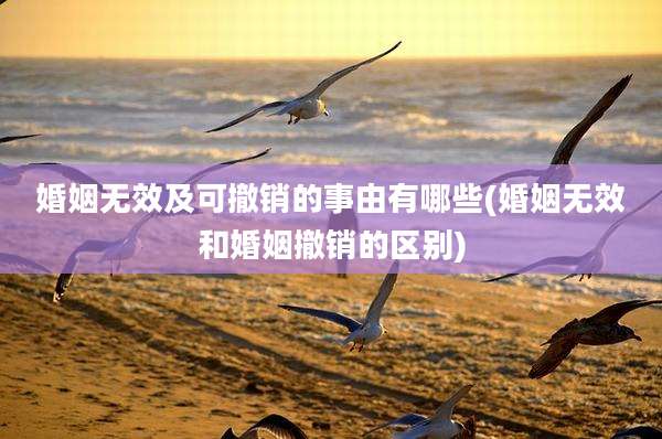 婚姻无效及可撤销的事由有哪些(婚姻无效和婚姻撤销的区别)