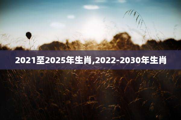 2021至2025年生肖,2022-2030年生肖