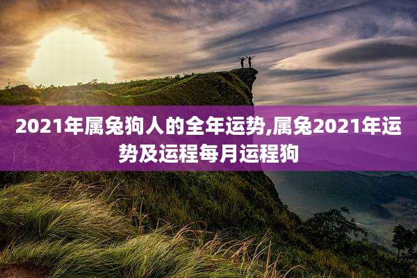 2021年属兔狗人的全年运势,属兔2021年运势及运程每月运程狗