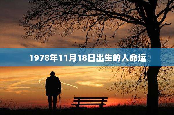 1978年11月18日出生的人命运