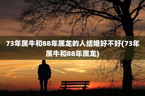 73年属牛和88年属龙的人结婚好不好(73年属牛和88年属龙)