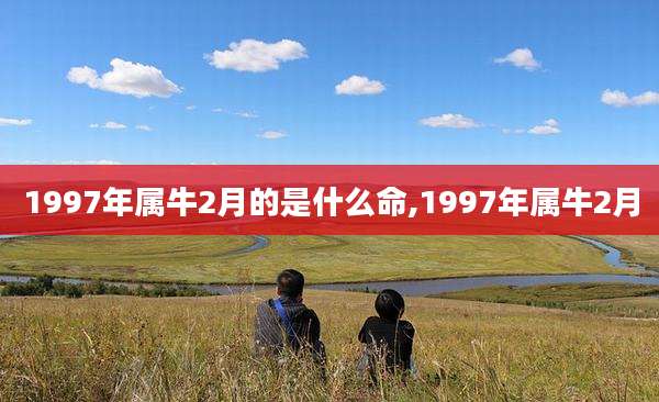 1997年属牛2月的是什么命,1997年属牛2月