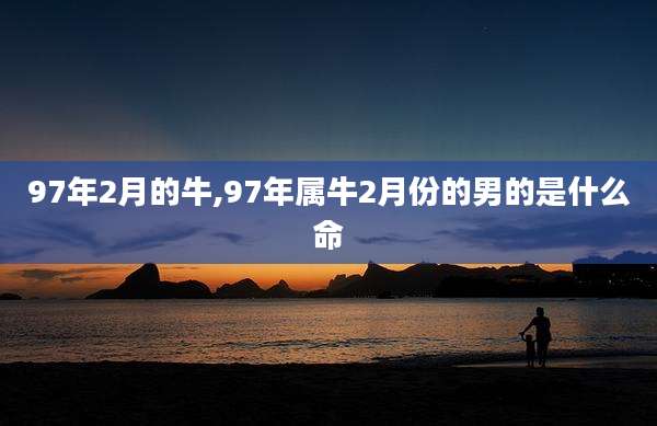 97年2月的牛,97年属牛2月份的男的是什么命