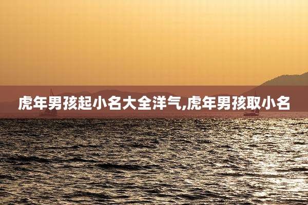 虎年男孩起小名大全洋气,虎年男孩取小名
