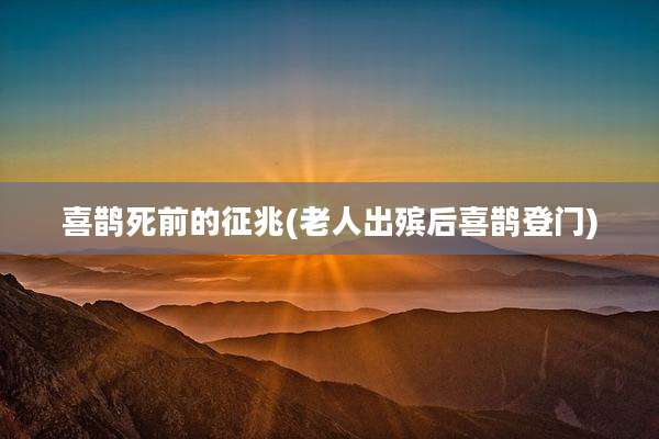 喜鹊死前的征兆(老人出殡后喜鹊登门)