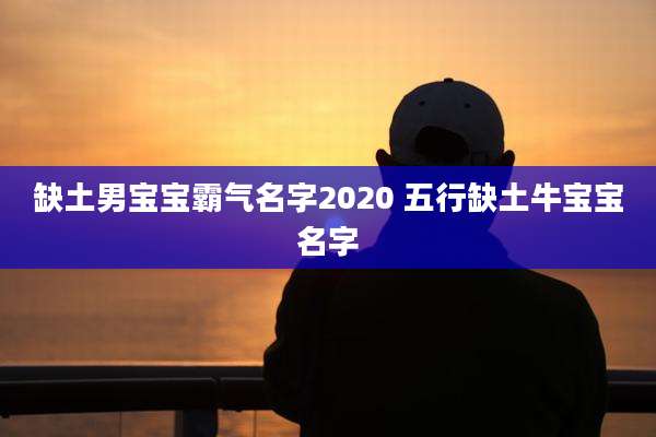 缺土男宝宝霸气名字2020 五行缺土牛宝宝名字