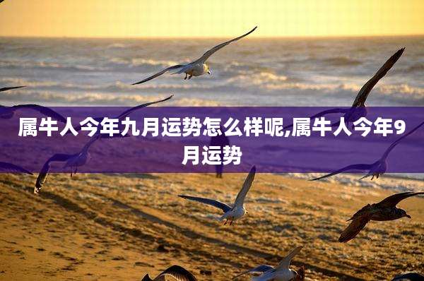 属牛人今年九月运势怎么样呢,属牛人今年9月运势