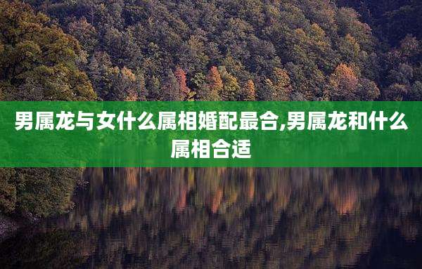 男属龙与女什么属相婚配最合,男属龙和什么属相合适