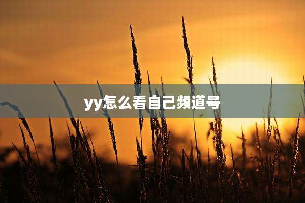 yy怎么看自己频道号