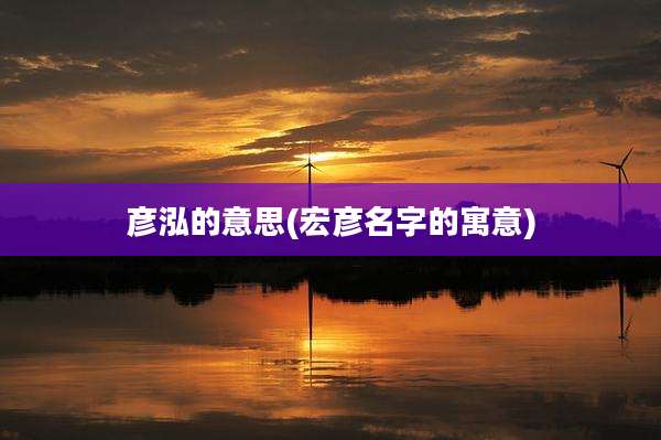 彦泓的意思(宏彦名字的寓意)